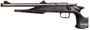 Chipmunk 40103 Hunter Youth Frame 22 LR Single Shot 9" Threaded Stainless Steel Barrel, Black Laminate Frame