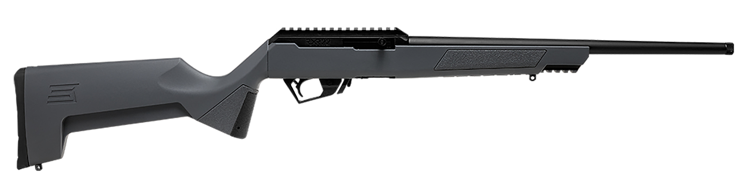 Savage Arms 19777 RXR 22 LR 10+1 16.50" Military Gray