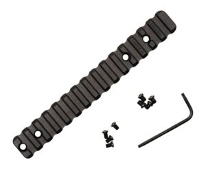 AREA 419 419-ISR-R700SA20-FS REM 700SA 1913 20MOA